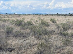 Property photo for land for sale in Torrance County New Mexico