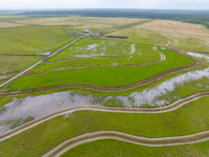 Property photo for land for sale in Allen County Louisiana