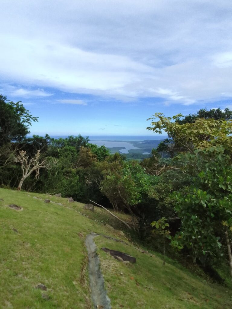 74a41c9a-86f5-4b60-83cc-b4df9f864b20.jpg