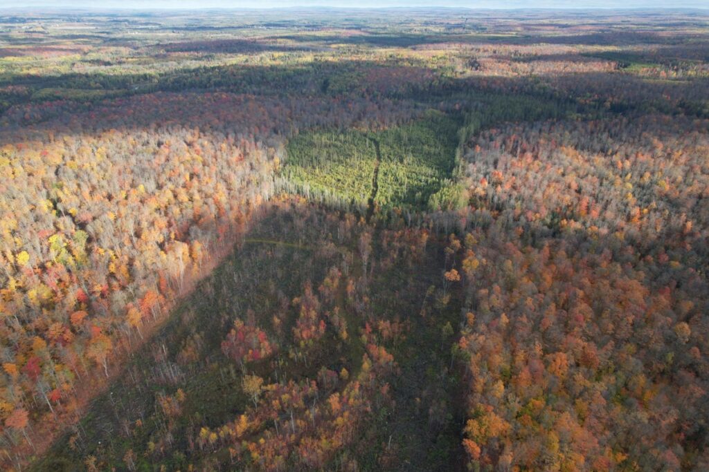 Property photo for land for sale in Ashland County Wisconsin