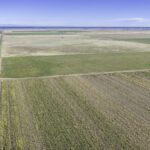 Property photo for land for sale in Lubbock County Texas