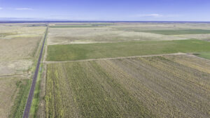Property photo for land for sale in Lubbock County Texas