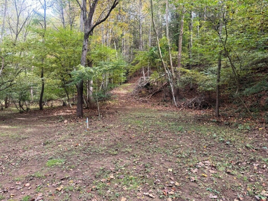 76f05916-4a3d-44c1-8049-4542d0805544.jpg