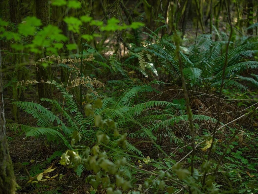 785e09cc-e7c7-483c-8e48-e5b96161e65c.jpg
