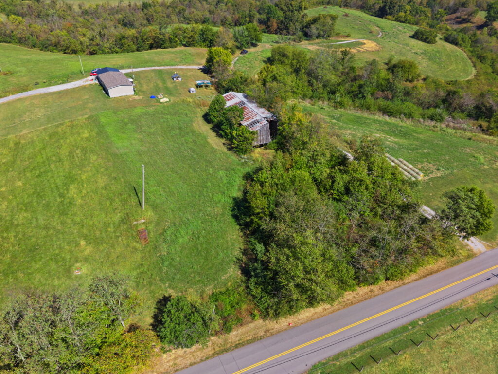 78602d5b-b13d-4f17-9f7e-cf93074ef462.jpg