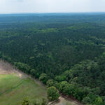 Property photo for land for sale in Van Zandt County Texas