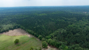 Property photo for land for sale in Van Zandt County Texas