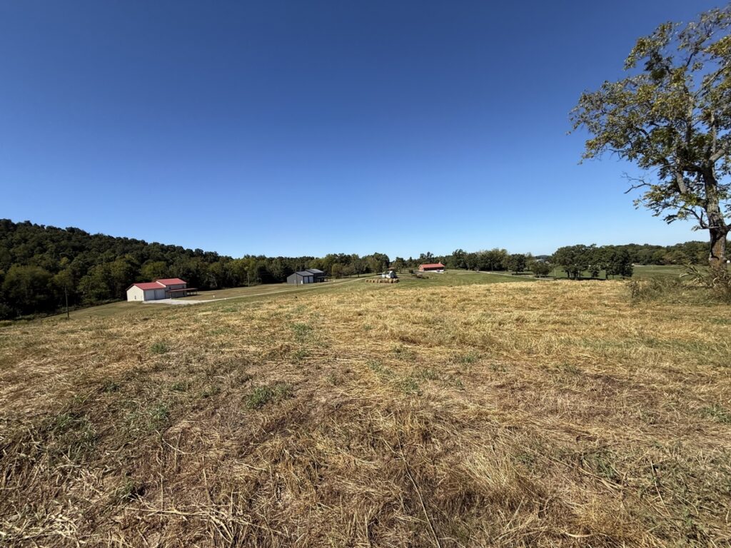 7d055fc0-d7f2-4331-96a5-3d0752250688.jpg