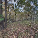 Property photo for land for sale in Vernon County Wisconsin