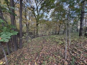 Property photo for land for sale in Vernon County Wisconsin