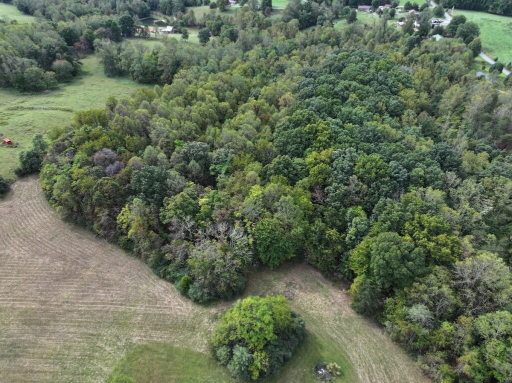 Property photo for land for sale in Patrick County Virginia