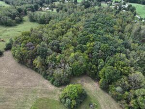 Property photo for land for sale in Patrick County Virginia