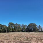 Property photo for land for sale in Duplin County North Carolina