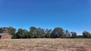 Property photo for land for sale in Duplin County North Carolina