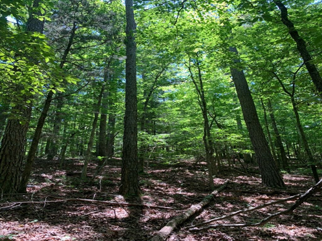 7df2b6f4-f00f-4e24-944e-a2a16499a8d4.jpg