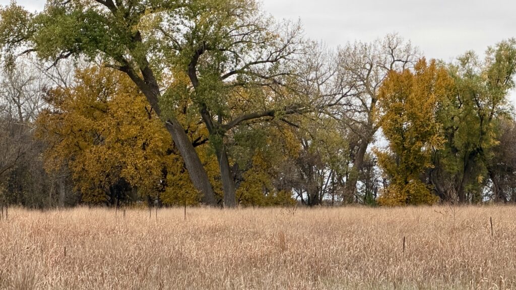 7e339233-c7d8-4823-a725-74eb3b28a153.jpg