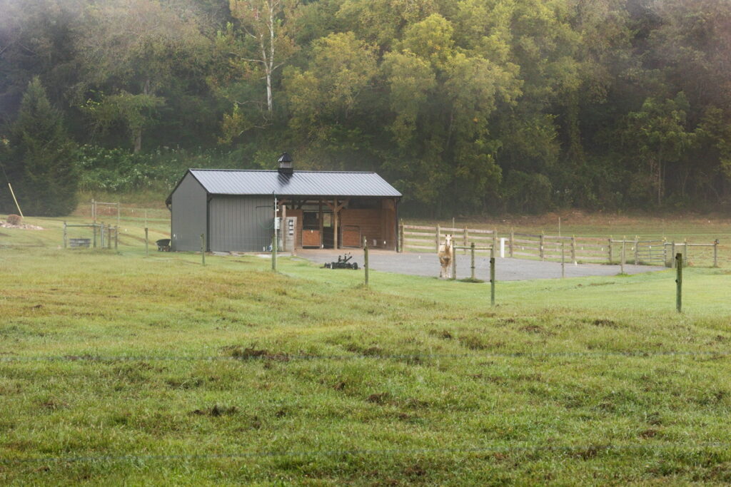 7f30d16c-85d6-49bf-9709-f944422ea26f.jpg