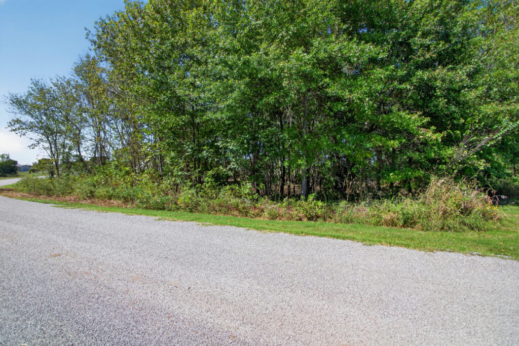7f807605-6079-413e-b239-40e4ac7187df.jpg