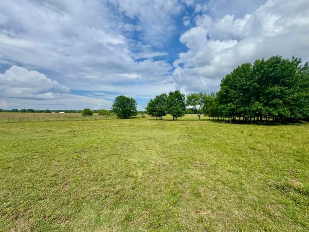 7fc0738c-c5fb-4ee9-912e-763b876828fc.jpg