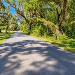 Property photo for land for sale in Dixie County Florida