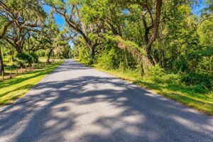 Property photo for land for sale in Dixie County Florida
