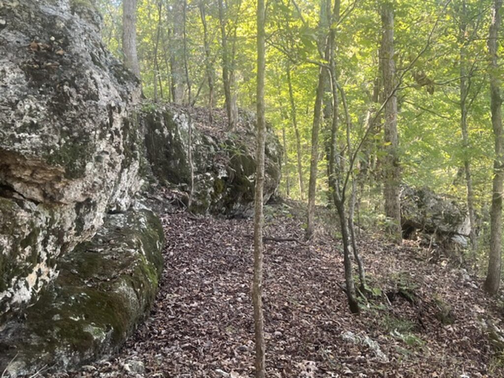 82c5658d-0a77-4474-939a-9e8413ddaf42.jpg