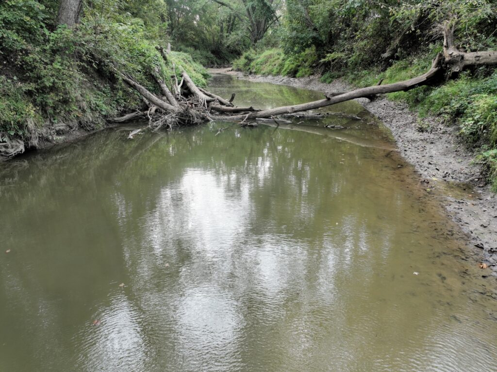 843492d7-770a-43b7-b97b-907ef7f63c60.jpg