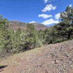 Property photo for land for sale in Ouray County Colorado