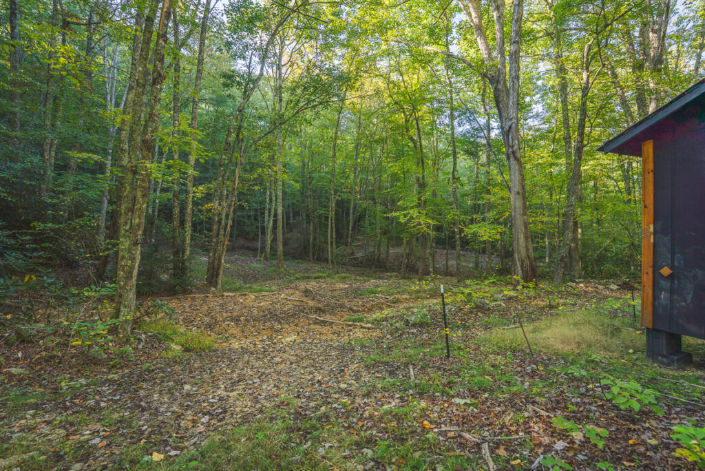 85c0f8de-7ef4-48e1-9894-08403c0a44da.jpg