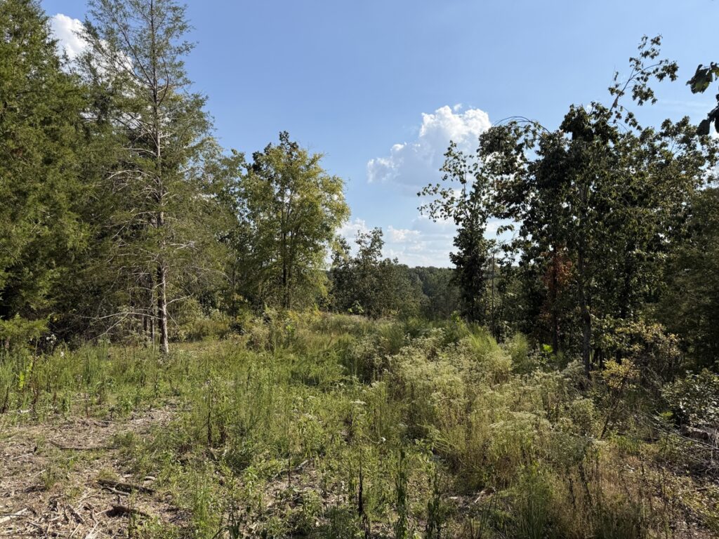 86c78751-2df3-43d5-aa59-cc7806746c76.jpg