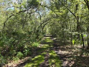 Property photo for land for sale in Dixie County Florida