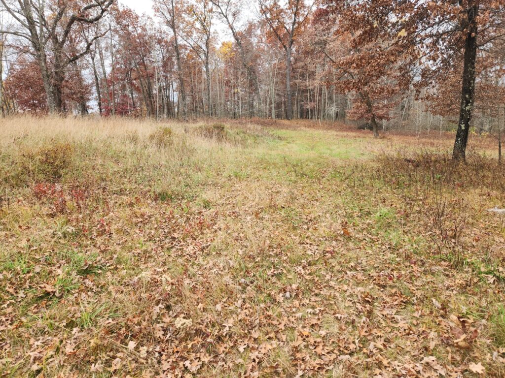 Property photo for land for sale in Adams County Wisconsin