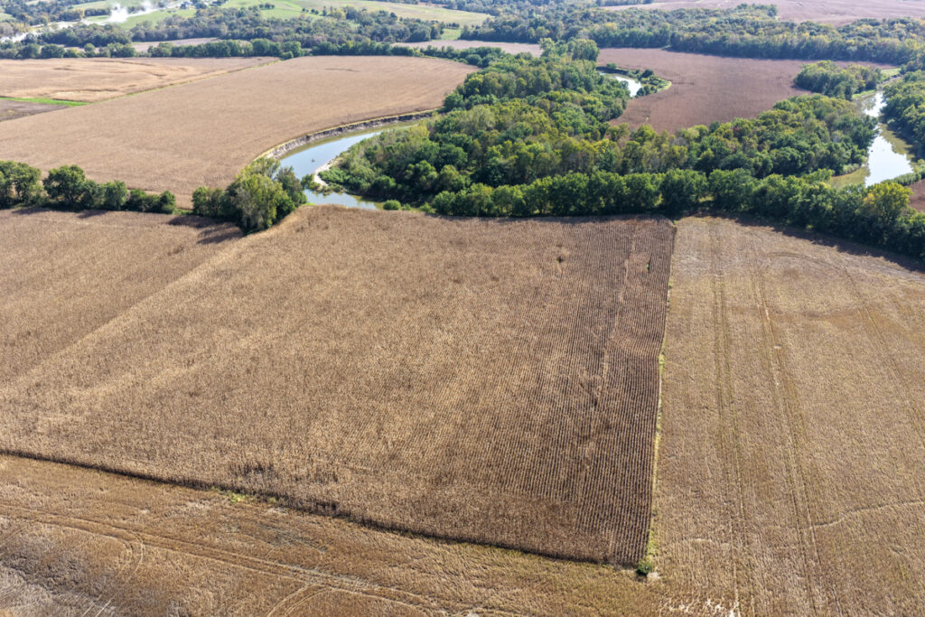 8a558630-6763-4195-92f2-15112799c7b9.jpg