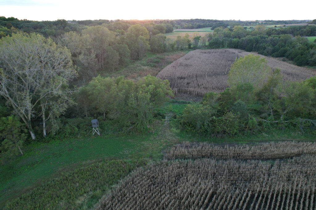 8a6890df-3e08-4dbc-853d-93868c868313.jpg