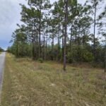 Property photo for land for sale in Levy County Florida