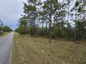 Property photo for land for sale in Levy County Florida