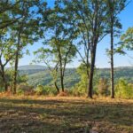 Property photo for land for sale in Washington County Arkansas