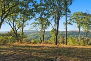 Property photo for land for sale in Washington County Arkansas