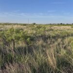 Property photo for land for sale in Roosevelt County New Mexico