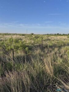 Property photo for land for sale in Roosevelt County New Mexico