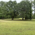 Property photo for land for sale in  County Arkansas