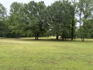 Property photo for land for sale in  County Arkansas