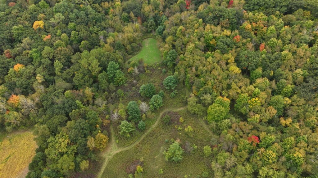 Property photo for land for sale in Jackson County Wisconsin