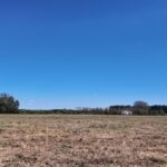 Property photo for land for sale in Duplin County North Carolina
