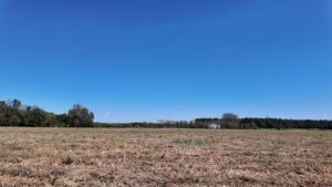 Property photo for land for sale in Duplin County North Carolina