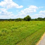 Property photo for land for sale in Metcalfe County Kentucky