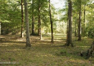 Property photo for land for sale in Pike County Mississippi