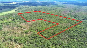 Property photo for land for sale in St. Clair County Missouri