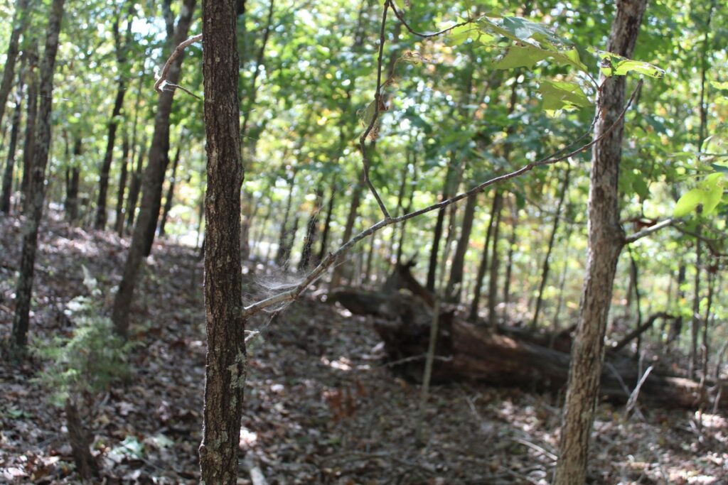 9d2b380e-cf87-4d31-96a4-a985921d5ec6.jpg