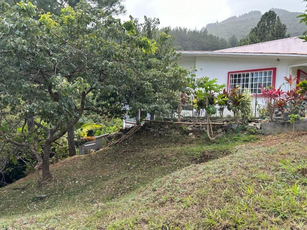 9e0536bf-d286-4faf-8057-08797e6e0a31.jpg